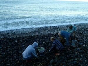 People collecting rocks on a beach shoreline.